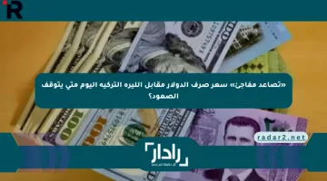 «تصاعد مفاجئ» سعر صرف الدولار مقابل الليرة التركية اليوم متى يتوقف الصعود؟
